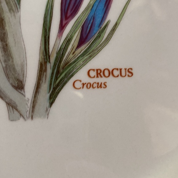 2 Portmeirion dinner plates 10.5” in 1.5” deep pasta GALANTHUS CROCUS England - Picture 6 of 12